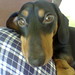 Derek Bunch Photo 15