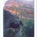 Robert Fay Photo 46