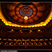 Allan Fox Photo 36