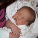 Vicki Webb Photo 22