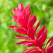 Ruby Bloom Photo 9
