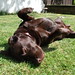 Lottie Walker Photo 19
