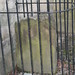 Francis Gordon Photo 14