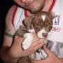 Kevin Holmes Photo 22