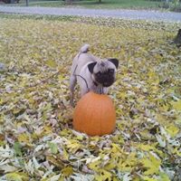 Cindy Ebert Photo 17