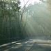 Marcia Kirby Photo 5