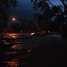 Alice Flood Photo 7