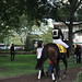 Brian Hernandez Photo 41