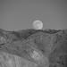 Brian Moon Photo 13