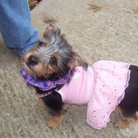 Jeanette Richards Photo 4