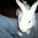 Jayson Fry Photo 8