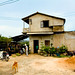 Long Phan Photo 34