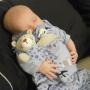 Susan Haller Photo 14