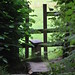 Deborah Stiles Photo 19