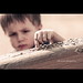 Joy Stone Photo 10