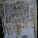 Roger Harrison Photo 39
