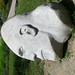 Joseph Stone Photo 12