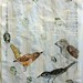 Deborah Bird Photo 16