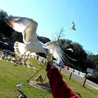 Amy Helms Photo 38