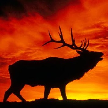 Raymond Kerr Photo 7