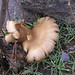 Steven Latham Photo 29
