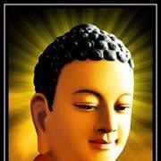 Phuoc Danh Photo 1