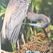 Robert Keating Photo 36