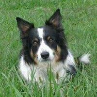 Terri Sell Photo 5