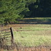 Joan Helms Photo 19