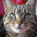 Sharon Curran Photo 37