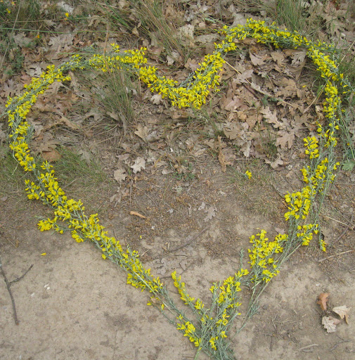 Aimee Rowe Photo 27