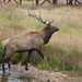 Brenda Estes Photo 15