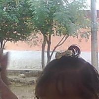 Esther Angulo Photo 3