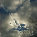 Reagan Williams Photo 18
