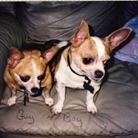 Melody Roberts Photo 43
