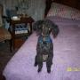 Joann Frazier Photo 20
