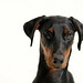 Gina Capps Photo 4