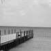 Thomas Turk Photo 18