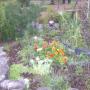 Linda Bates Photo 8