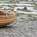 Julie Platt Photo 11