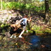 Janie Cross Photo 12