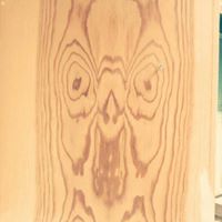 Nat Robinson Photo 9