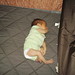 Audrey Brown Photo 14