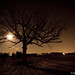 Jamie Wolf Photo 20