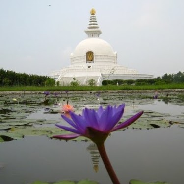 Diana Jiang Photo 7