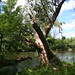 Jeanne Spears Photo 16