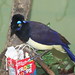 Jay Potter Photo 48