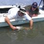 Steven Ewing Photo 15