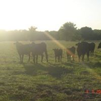 Mary Bice Photo 4