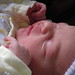 Elizabeth Rowan Photo 7